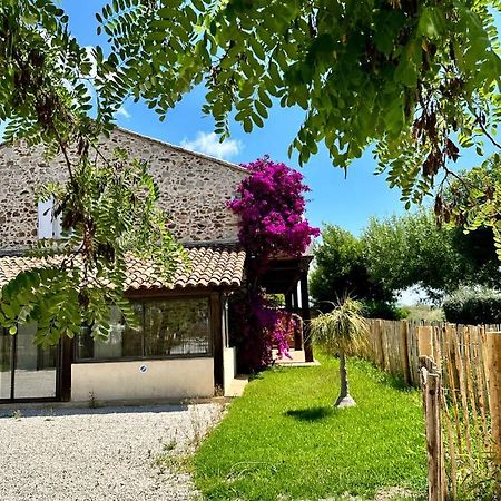 Grand Studio A 5Mns De La Plage Des Salins Hyères Eksteriør bilde