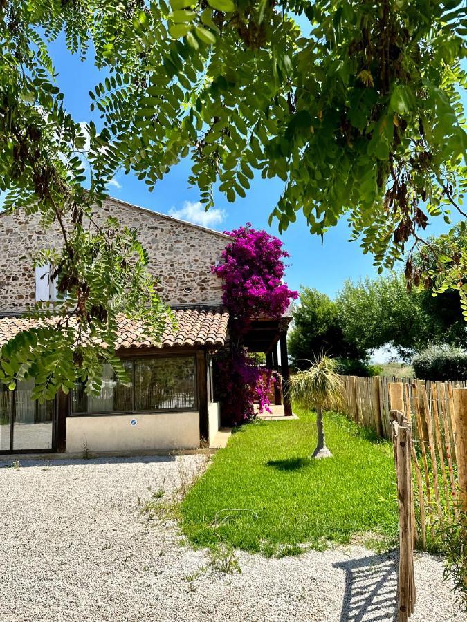 Grand Studio A 5Mns De La Plage Des Salins Hyères Eksteriør bilde